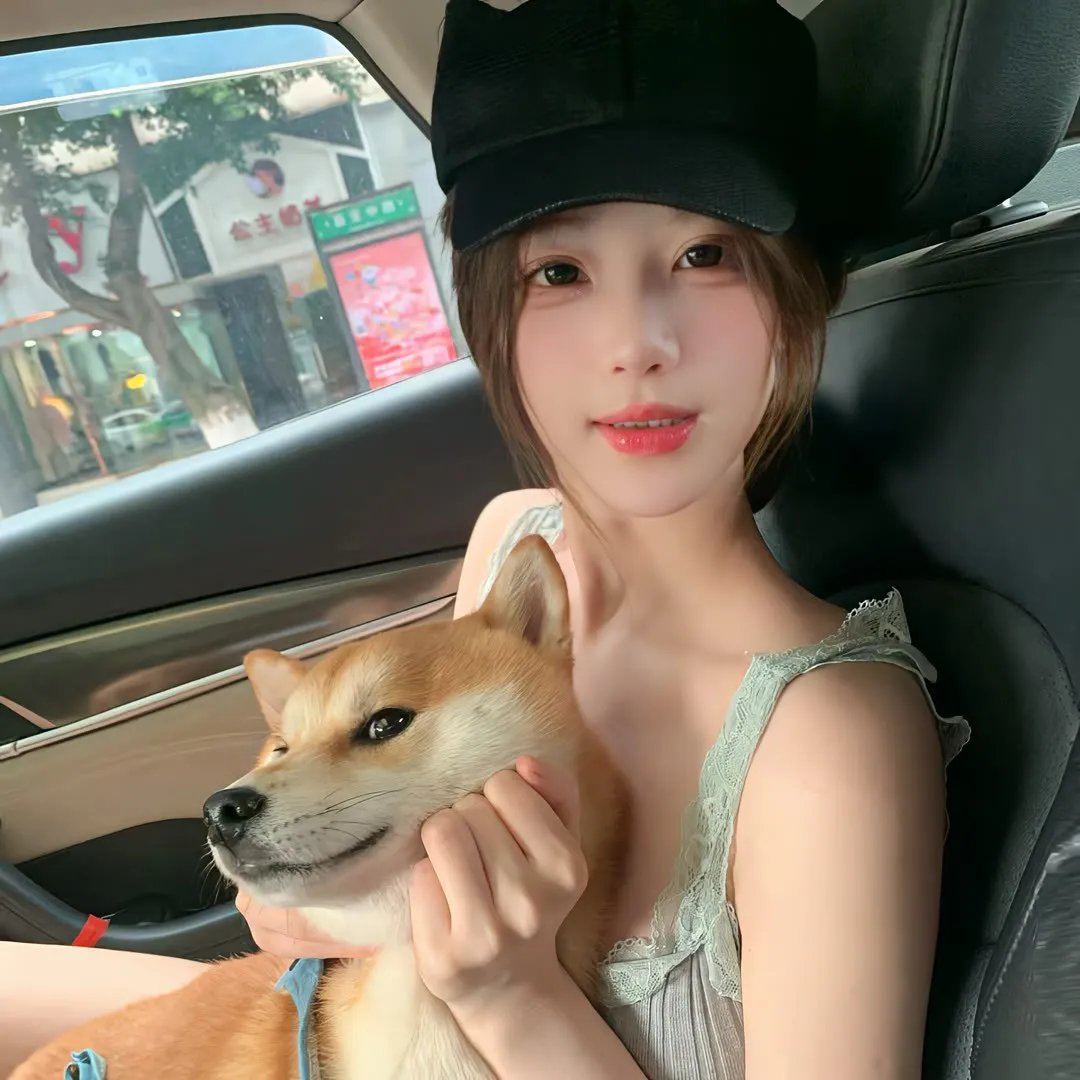 极岛森林
